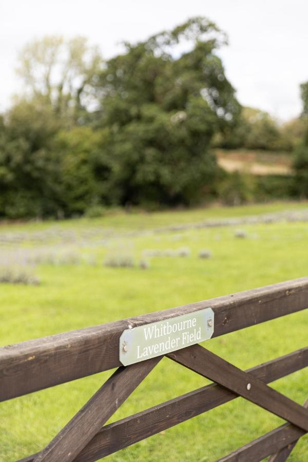Whitbourne Farm Villa Corsley Dış mekan fotoğraf